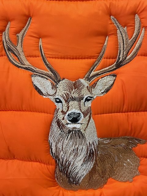 Cerf 2