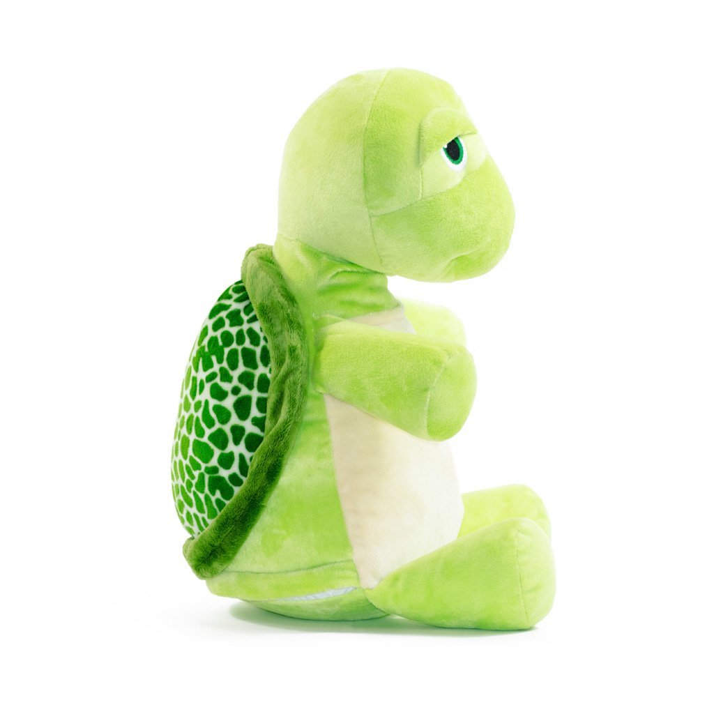 Mr Shigglesworth – La Tortue Rigolote à Personnaliser – Image 3